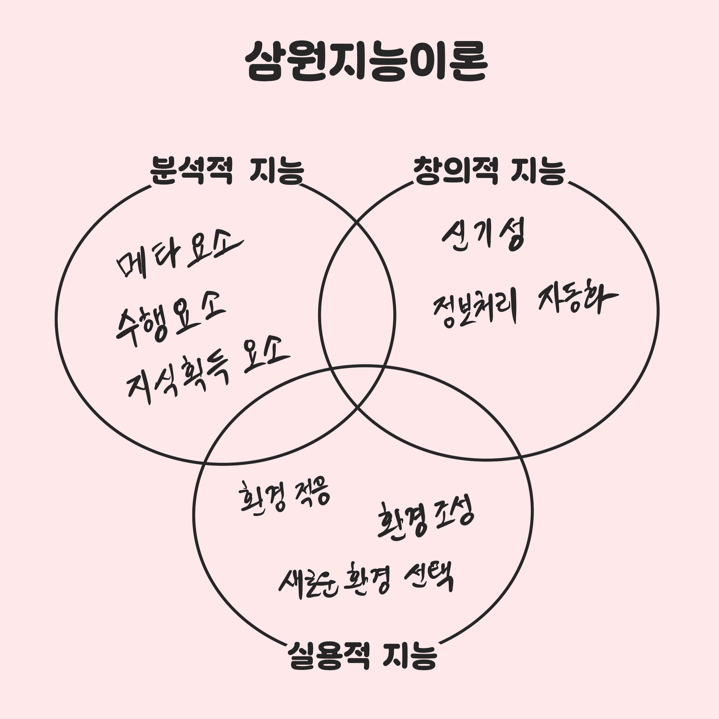 삼원지능이론 구조도