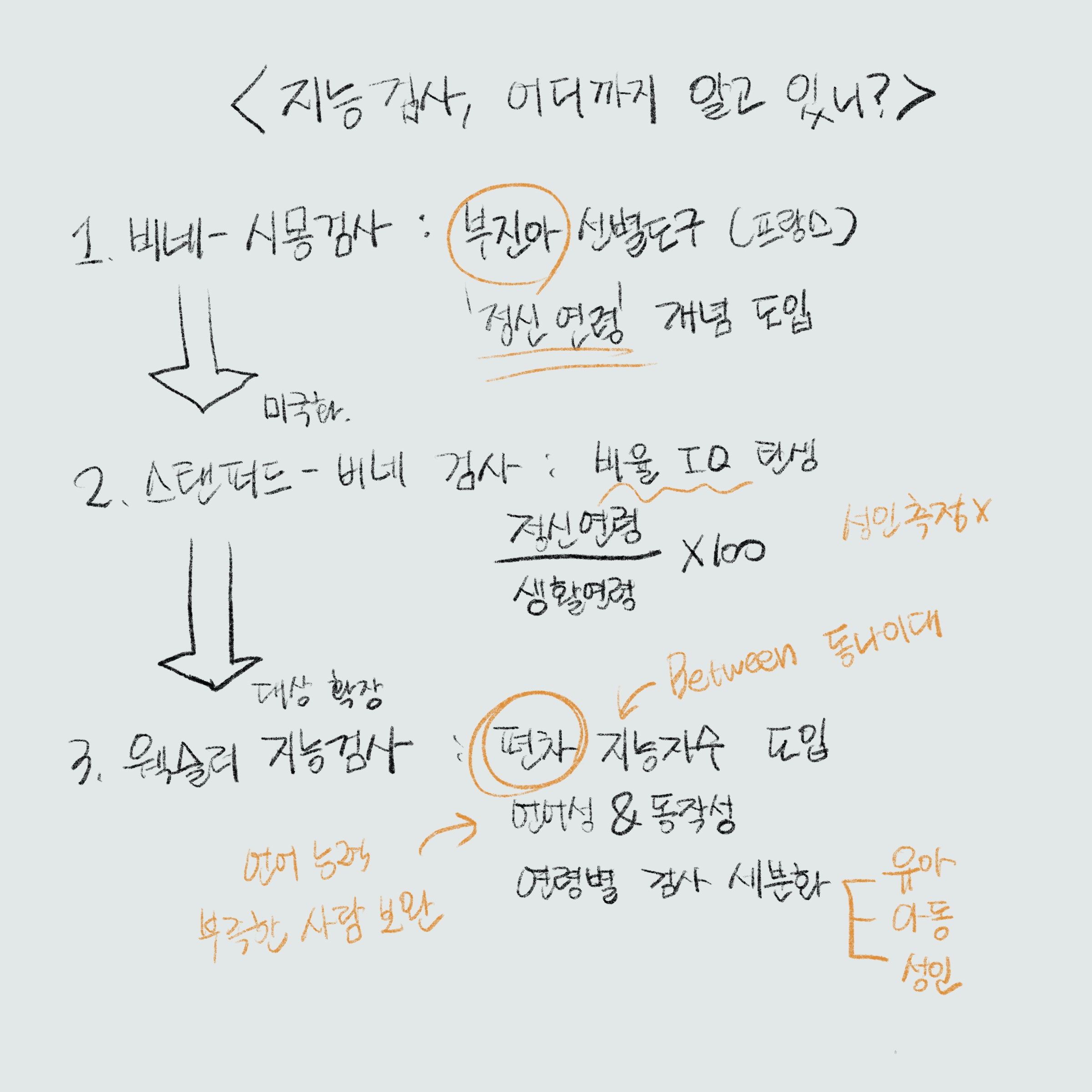 지능검사 요약